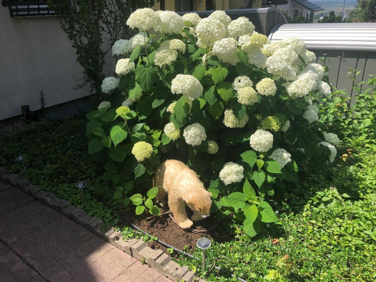 Privatunterkunft Dachgeschoss In Einem Reihenhaus *